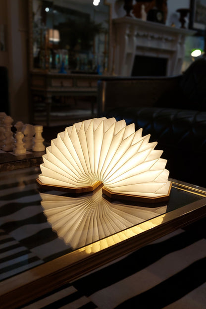 Accordion Fan Lamp